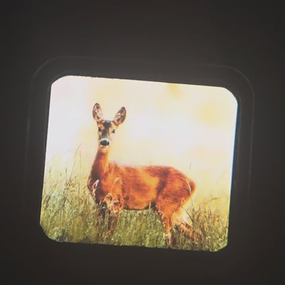 Personalized Photo Viewer with Custom Real Film Reel – A Story You Can Hold